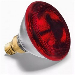 Лампы специального назначения Foton Lighting (Фотон), купить по выгодной цене в интернет-магазине 21vek-220v.ru