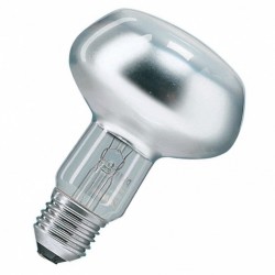 Лампы накаливания General Electric, купить по выгодной цене в интернет-магазине 21vek-220v.ru