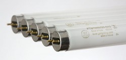 Лампы Tungsram, купить по выгодной цене в интернет-магазине 21vek-220v.ru