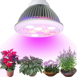 Светодиодные лампы LED JazzWay (ДжазВей), купить по выгодной цене в интернет-магазине 21vek-220v.ru