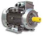 Электродвигатели асинхронные IEK (ИЭК) трехфазные АИР (лапы) 3000об/мин, купить по выгодной цене в интернет-магазине 21vek-220v.ru