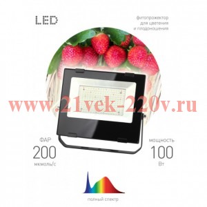 ЭРА FITO-100W-Ra90-LED ФИТО прожектор для цветения и плодоношения (10/240)