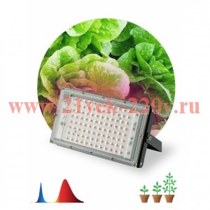 ЭРА Фитопрожектор для растений светодиодный FITO-80W-RB-LED-Y красно-синего спектра