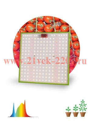 Фитопрожектор светодиодный для растений FITO-80W-LED-QB Quantum board Эра Б0053285