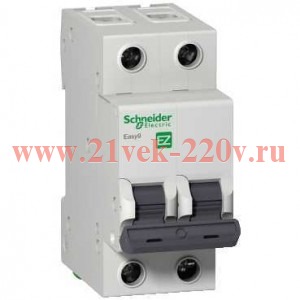 Автоматический выключатель Schneider Electric EASY 9 2П 10А С 4,5кА 230В (автомат)