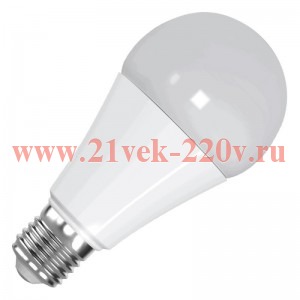 Лампа светодиодная FL-LED-A65 22W 2700К 2020lm 220V E27 d65x133