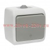 Выключатель кнопочный 10А IP54 серый Венеция EKF Simple