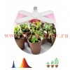 ЭРА Фитолампа для растений светодиодная FITO-36W-RB-E27-FOLD 4-х лепестковая красно-синего спектра 3