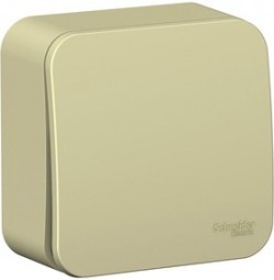 Blanca Systeme Electric (Бланка Систем Электрик) Schneider Electric, купить по выгодной цене в интернет-магазине 21vek-220v.ru