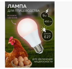 Купить светодиодные лампы LED высокого качества | Электрика 21 век, купить по низкой цене в Москве