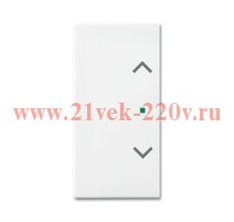 SRB-2-94 Клавиша двойная free@home, жалюзи, Basic 55, цвет альпийский белый