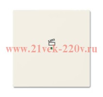 SRS-1-96 Клавиша одинарная free@home, сцена, Basic 55, цвет chalet-white