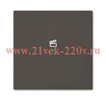 SRS-1-95 Клавиша одинарная free@home, сцена, Basic 55, цвет ch?teau-black