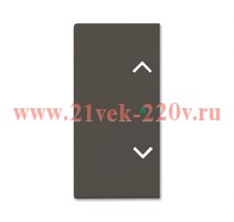 SRB-2-95 Клавиша двойная free@home, жалюзи, Basic 55, цвет ch?teau-black
