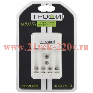 ЭРА Зарядное устройство ТРОФИ TR-120 (6/24/576)