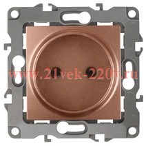 Розетка 2P 16A-250В IP20 Эра 12, медь 12-2105-14