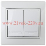 Intro 1-104-01 Выключатель двойной, 10А-250В, IP20, СУ, Plano, Белый