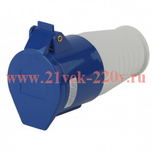 ЭРА R-32-2P-PE-IP44 Розетка переносная 223 2Р+РЕ 32А 220В IP44