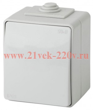 Выключатель IP65 10АХ-250В открытой установки Эра Эксперт серый 11-1601-03