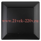 Выключатель 10А-250В Intro Solo, антрацит 4-101-05