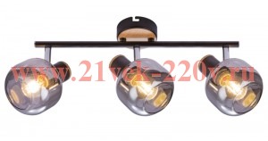 Светильник Rivoli Dorkas 7026-703 3х40Вт E14 спот настенно-потолочный поворотн. Эра Б0047098