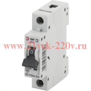 Выключатель автоматический модульный 1п C 2А ВА47-63 Pro NO-901-59 ЭРА Б0031831