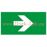 Этикетка самоклеящаяся INFO-SSA-119 бэклит 259х135мм Стрелка без текста SSA-103 ЭРА Б0064729