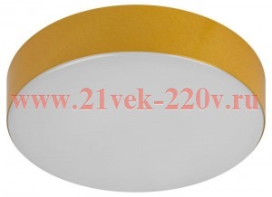 Светильник светодиодный Relict 22 SPB-6-20 4К MG 20Вт 4000К потолочн. золото Эра Б0059509