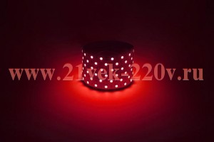 Лента светодиодная LS5050 -14.4-60-12-R-IP20-1 year-5m красн. (уп.5м) Эра Б0059919