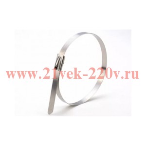 ЭРА NO-KSS0-09 Хомут из нержавеющей стали 7,9х300 (упак. 50 штук) (60/1440)