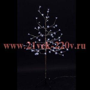 Дерево комнатное 