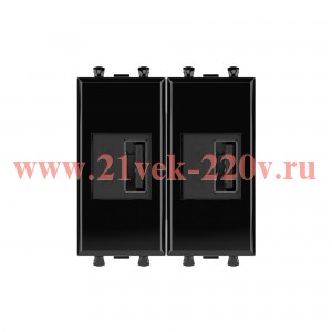 Зарядное устройство USB модульное 5В,2,1А 2 модуля DKC Avanti, черный квадрат