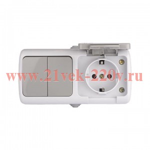 Мурманск Блок  розетка 1-м 16А с заземлением с крышкой + 2-кл выключатель IP54 серый EKF