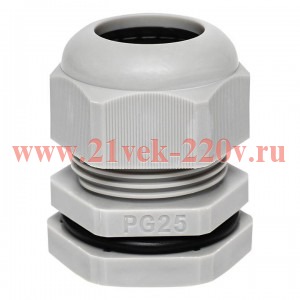 Сальник PG25 IP54 отв. d31мм провод d16-21мм (уп.2шт) PROxima EKF plc-pg-25-2-r