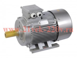 Электродвигатель АИР DRIVE 3ф 315MA6 660-132-1000 1081 Pt1000 IEK DRV315-M6-132-0-1010-2-TT