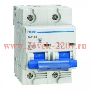 Выключатель автоматический 2п 63А 10кА 8-12In DZ158-125H (R) CHINT 158091