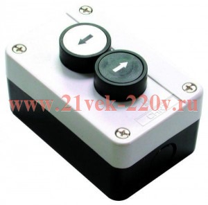 Пост кнопочный NP2-B222 1НО+1НО CHINT 574873
