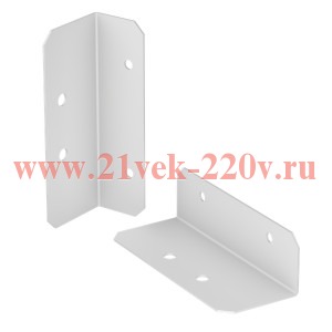Держатель пластронов В100 (уп.2шт) AleSta EKF AleSta-FPH10