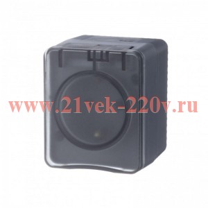 Розетка 2Р+Е со шторками открытой установки 16А 250В IP54 SE AtlasDesign Profi54, антрацит