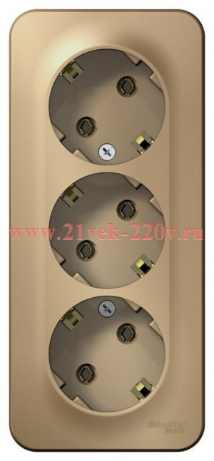 Розетка 3-ая с заземлением без шторок Blanca Schneider Electric 16А 250В титан изол.пластина
