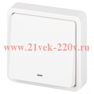 Выключатель Эксперт 11-1522-01 с подсветкой IP55 10АХ-250В СУ бел. Эра Б0063279