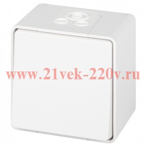 Выключатель Эксперт 11-1501-01 IP55 10АХ-250В ОУ бел. Эра Б0063250