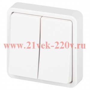 Выключатель Эксперт 11-1524-01 двойной IP55 10АХ-250В СУ бел. Эра Б0063271