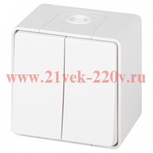 Выключатель Эксперт 11-1504-01 двойной IP55 10АХ-250В ОУ бел. Эра Б0063257