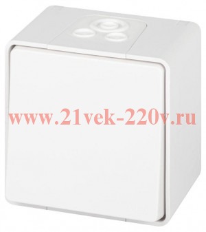 Переключатель Эксперт 11-1503-01 IP55 10АХ-250В ОУ бел. Эра Б0063301