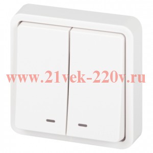 Выключатель Эксперт 11-1525-01 двойной с подсветкой IP55 10АХ-250В СУ бел. Эра Б0063304