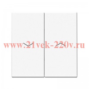 Двухклавишная кнопка без фиксации для управления жалюзи ArtGallery 10А белая Systeme Electric