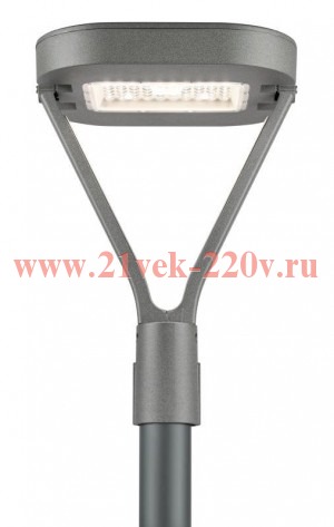 Светильник светодиодный SPP-505-0-50K-050 50Вт 6000лм 5000К IP65 КСС Д садово-парковый сер. Эра Б006