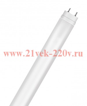 Лампа светодиодная Ecofit LEDtube 600mm 8W/765 T8 800lm RCA I (1стороннее подкл. 220В) PHILIPS
