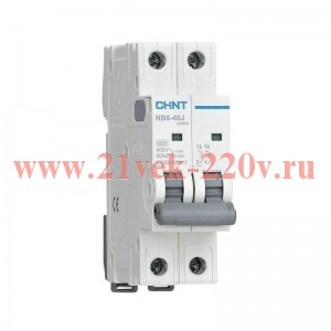Выключатель автоматический 2п 10А 4.5кА NB8-40J х-ка D (R) CHINT 320699